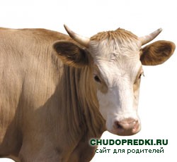 Стихи для детей о корове