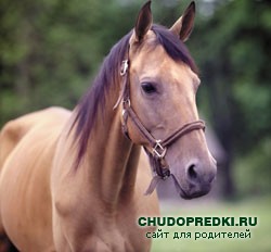 Детские стихи