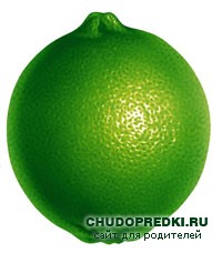 Полезные свойства лайма