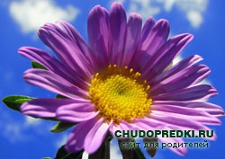 Приметы о погоде