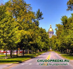 Приметы о погоде