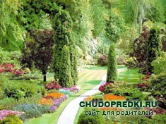 Приметы о погоде