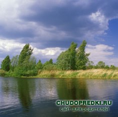 Приметы о дожде
