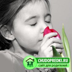 Советы по воспитанию