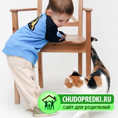 животное для ребенка 3 года